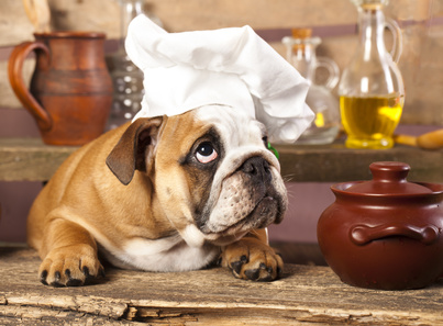 kochen mit hund