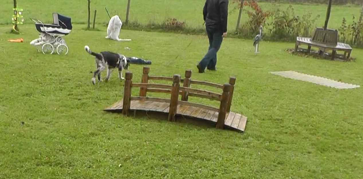 orientierungstraining 3