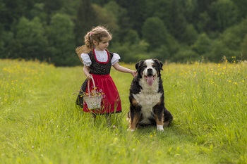 Sicherer Umgang für Kind und Hund 